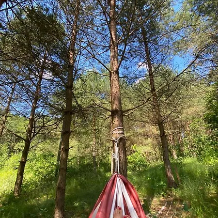 Farm stay Ostoja Milolas Lidzbark Warminski