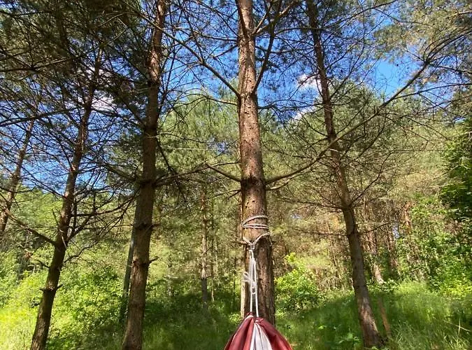 Gospodarstwo agroturystyczne Ostoja Milolas Lidzbark Warmiński